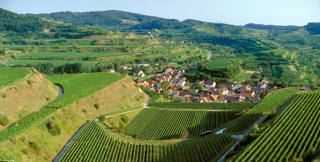 Weinregion Baden / Deutschland